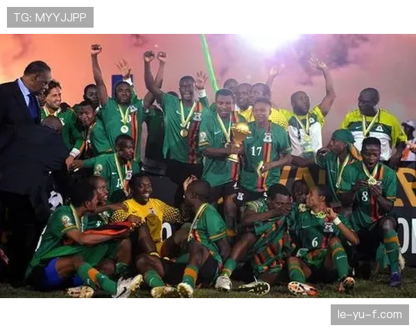 非洲杯新王加冕,斗士荣耀点燃未来征程