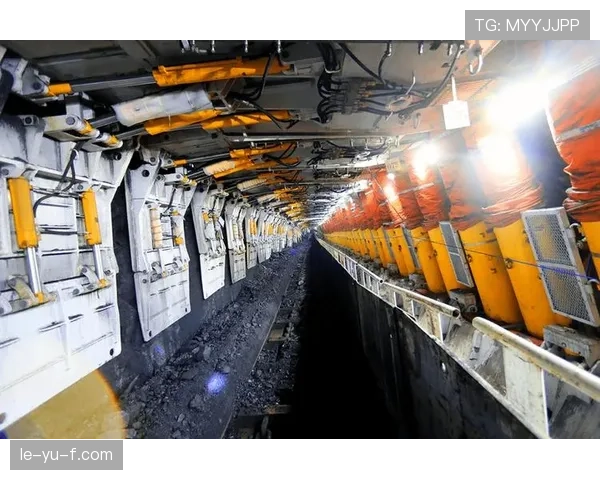 穆萨技术实现全面突破，引领行业创新与可持续发展